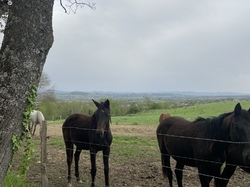  <a style='color: #fff;' href='/uploaded/photo/chasselay-6614136859db4.jpg'>(Télécharger)</a>