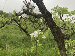  <a style='color: #fff;' href='/uploaded/photo/chasselay-661413685edf7.jpg'>(Télécharger)</a>