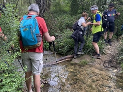  <a style='color: #fff;' href='/uploaded/photo/chasselay-66141369ee3f5.jpg'>(Télécharger)</a>