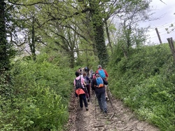  <a style='color: #fff;' href='/uploaded/photo/chasselay-6614136a2dfc3.jpg'>(Télécharger)</a>