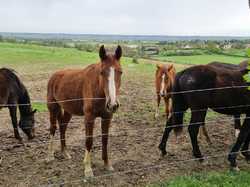  <a style='color: #fff;' href='/uploaded/photo/chasselay-66143c1fb2862.jpg'>(Télécharger)</a>