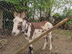  <a style='color: #fff;' href='/uploaded/photo/chasselay-66143c1fecea8.jpg'>(Télécharger)</a>