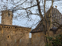  <a style='color: #fff;' href='/uploaded/photo/chessy-691de5ce1565b.jpg'>(Télécharger)</a>