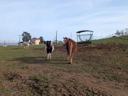  <a style='color: #fff;' href='/uploaded/photo/chessy-691de5ce7f5e2.jpg'>(Télécharger)</a>