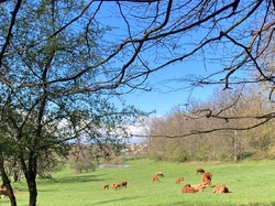  <a style='color: #fff;' href='/uploaded/photo/civrieux-660478a513fbd.jpg'>(Télécharger)</a>