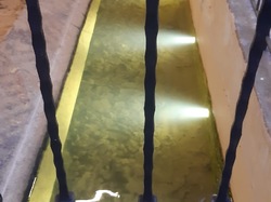  <a style='color: #fff;' href='/uploaded/photo/couzon-6759c5985f6bb.jpg'>(Télécharger)</a>