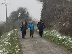  <a style='color: #fff;' href='/uploaded/photo/curis-659ec1ad591bf.jpg'>(Télécharger)</a>