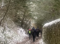  <a style='color: #fff;' href='/uploaded/photo/curis-659ec1e065f7e.jpg'>(Télécharger)</a>