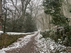  <a style='color: #fff;' href='/uploaded/photo/curis-659ec25f6bfff.jpg'>(Télécharger)</a>