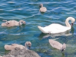  <a style='color: #fff;' href='/uploaded/photo/demo-63c6ea03302d9.jpg'>(Télécharger)</a>