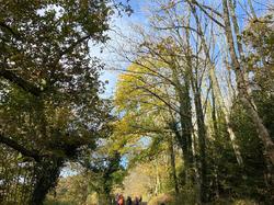  <a style='color: #fff;' href='/uploaded/photo/et-didier-sur-beaujeu-67361db4e36e7.jpg'>(Télécharger)</a>