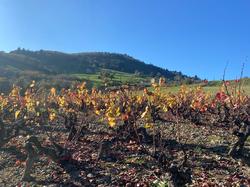  <a style='color: #fff;' href='/uploaded/photo/et-didier-sur-beaujeu-67361db71ebaa.jpg'>(Télécharger)</a>