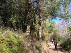  <a style='color: #fff;' href='/uploaded/photo/et-didier-sur-beaujeu-67361db807a26.jpg'>(Télécharger)</a>