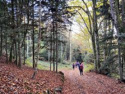  <a style='color: #fff;' href='/uploaded/photo/et-didier-sur-beaujeu-67361db83b0b7.jpg'>(Télécharger)</a>