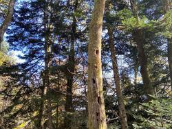  <a style='color: #fff;' href='/uploaded/photo/et-didier-sur-beaujeu-67361db83b182.jpg'>(Télécharger)</a>