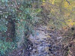  <a style='color: #fff;' href='/uploaded/photo/et-didier-sur-beaujeu-67361db850d2a.jpg'>(Télécharger)</a>