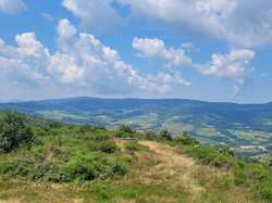  <a style='color: #fff;' href='/uploaded/photo/fleurie-du-ciel-bleu-y-l-orage-6688f4838ad23.jpg'>(Télécharger)</a>