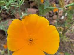  <a style='color: #fff;' href='/uploaded/photo/fleurie-du-ciel-bleu-y-l-orage-6688f4843edcf.jpg'>(Télécharger)</a>