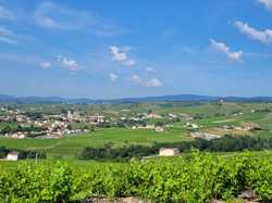  <a style='color: #fff;' href='/uploaded/photo/fleurie-du-ciel-bleu-y-l-orage-6688f484c8ad2.jpg'>(Télécharger)</a>