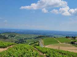  <a style='color: #fff;' href='/uploaded/photo/fleurie-du-ciel-bleu-y-l-orage-6688f485235ea.jpg'>(Télécharger)</a>