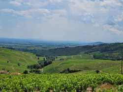  <a style='color: #fff;' href='/uploaded/photo/fleurie-du-ciel-bleu-y-l-orage-6688f4853f5f9.jpg'>(Télécharger)</a>