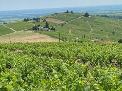  <a style='color: #fff;' href='/uploaded/photo/fleurie-du-ciel-bleu-y-l-orage-6688f4857d951.jpg'>(Télécharger)</a>