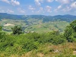  <a style='color: #fff;' href='/uploaded/photo/fleurie-du-ciel-bleu-y-l-orage-6688f485b8cc5.jpg'>(Télécharger)</a>