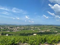  <a style='color: #fff;' href='/uploaded/photo/fleurie-du-ciel-bleu-y-l-orage-6688f485ebc82.jpg'>(Télécharger)</a>