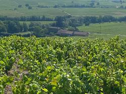  <a style='color: #fff;' href='/uploaded/photo/fleurie-du-ciel-bleu-y-l-orage-6688f486117a4.jpg'>(Télécharger)</a>