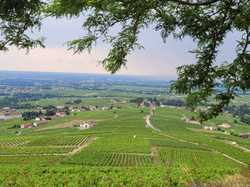  <a style='color: #fff;' href='/uploaded/photo/fleurie-du-ciel-bleu-y-l-orage-6688f48621455.jpg'>(Télécharger)</a>