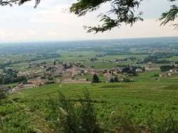  <a style='color: #fff;' href='/uploaded/photo/fleurie-du-ciel-bleu-y-l-orage-6688f4862a948.jpg'>(Télécharger)</a>