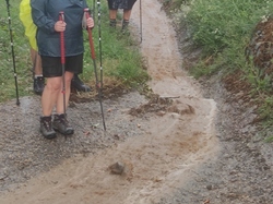  <a style='color: #fff;' href='/uploaded/photo/fleurie-du-ciel-bleu-y-l-orage-6688f4969ec16.jpg'>(Télécharger)</a>