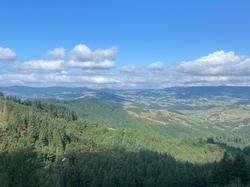  <a style='color: #fff;' href='/uploaded/photo/fory-t-de-la-cantiniy-re-66d6253c7d655.jpg'>(Télécharger)</a>