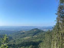  <a style='color: #fff;' href='/uploaded/photo/fory-t-de-la-cantiniy-re-66d6253d0ded4.jpg'>(Télécharger)</a>