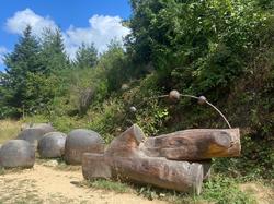  <a style='color: #fff;' href='/uploaded/photo/fory-t-de-la-cantiniy-re-66d6253e56297.jpg'>(Télécharger)</a>