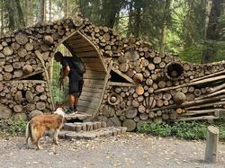  <a style='color: #fff;' href='/uploaded/photo/fory-t-de-la-cantiniy-re-66d6253ecfd7a.jpg'>(Télécharger)</a>