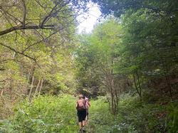  <a style='color: #fff;' href='/uploaded/photo/fory-t-de-la-cantiniy-re-66d6253ef04ca.jpg'>(Télécharger)</a>