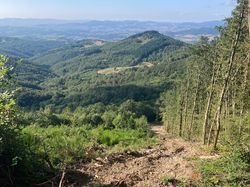  <a style='color: #fff;' href='/uploaded/photo/fory-t-de-la-cantiniy-re-66d625405a18d.jpg'>(Télécharger)</a>