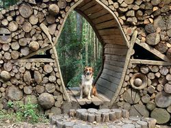  <a style='color: #fff;' href='/uploaded/photo/fory-t-de-la-cantiniy-re-66d62540b91a9.jpg'>(Télécharger)</a>