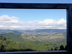  <a style='color: #fff;' href='/uploaded/photo/fory-t-de-la-cantiniy-re-66d62543428f9.jpg'>(Télécharger)</a>