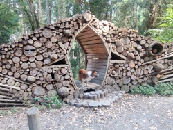  <a style='color: #fff;' href='/uploaded/photo/fory-t-de-la-cantiniy-re-66d62546b3585.jpg'>(Télécharger)</a>