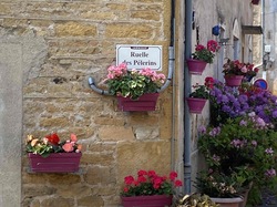  <a style='color: #fff;' href='/uploaded/photo/jarnioux-64806d77573e4.jpg'>(Télécharger)</a>