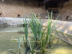  <a style='color: #fff;' href='/uploaded/photo/jarnioux-64806debd52a9.jpg'>(Télécharger)</a>