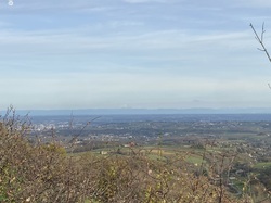  <a style='color: #fff;' href='/uploaded/photo/jarnioux-6914be41c3474.jpg'>(Télécharger)</a>