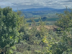  <a style='color: #fff;' href='/uploaded/photo/jarnioux-col-du-chene-cogny-633b2ac5b9019.jpg'>(Télécharger)</a>