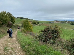  <a style='color: #fff;' href='/uploaded/photo/jarnioux-col-du-chene-cogny-633b2adff0b09.jpg'>(Télécharger)</a>