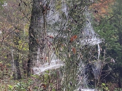  <a style='color: #fff;' href='/uploaded/photo/jarnioux-col-du-chene-cogny-633b2ae0e9e54.jpg'>(Télécharger)</a>