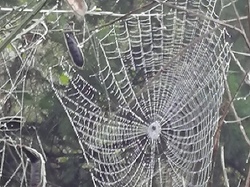  <a style='color: #fff;' href='/uploaded/photo/jarnioux-col-du-chene-cogny-633b3615127ae.jpg'>(Télécharger)</a>