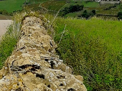  <a style='color: #fff;' href='/uploaded/photo/jarnioux-col-du-chene-cogny-633b362196283.jpg'>(Télécharger)</a>