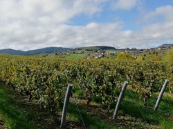  <a style='color: #fff;' href='/uploaded/photo/jarnioux-col-du-chene-cogny-633b36cfb62a3.jpg'>(Télécharger)</a>